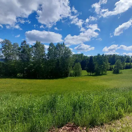 Апартаменты Riccis 47m2 Bamboo Flat Grosspertholz